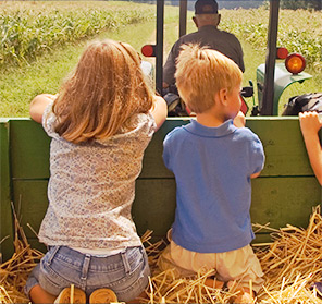 Covered Hayrides
